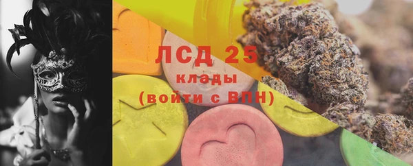 ГАЛЛЮЦИНОГЕННЫЕ ГРИБЫ Медвежьегорск