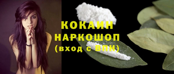 ГАЛЛЮЦИНОГЕННЫЕ ГРИБЫ Медвежьегорск