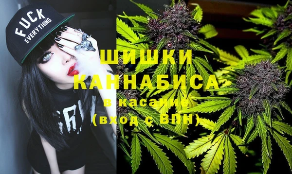 ГАЛЛЮЦИНОГЕННЫЕ ГРИБЫ Медвежьегорск