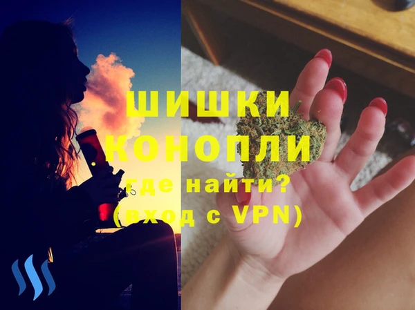 ГАЛЛЮЦИНОГЕННЫЕ ГРИБЫ Медвежьегорск
