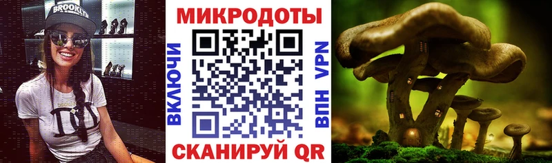 Псилоцибиновые грибы мицелий  где купить наркоту  Онега 