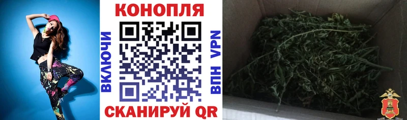 Каннабис сатива  как найти закладки  Онега 